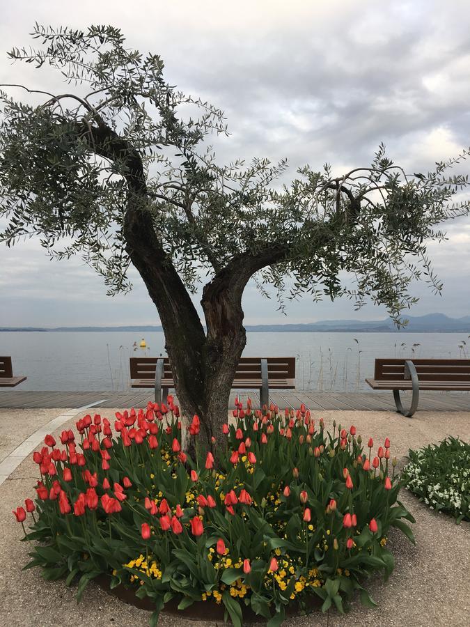 Caba Holiday Bardolino D'Annunzio Εξωτερικό φωτογραφία